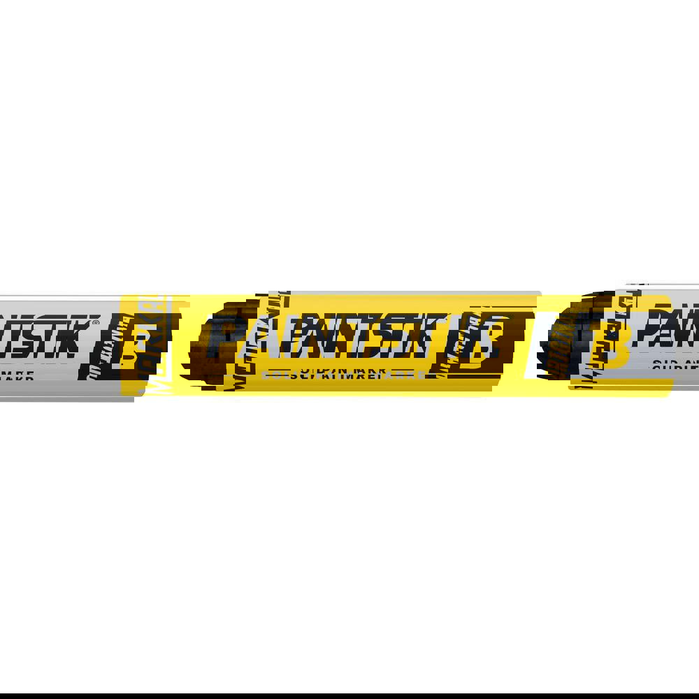 Multi-purpose permanent solid paint crayon